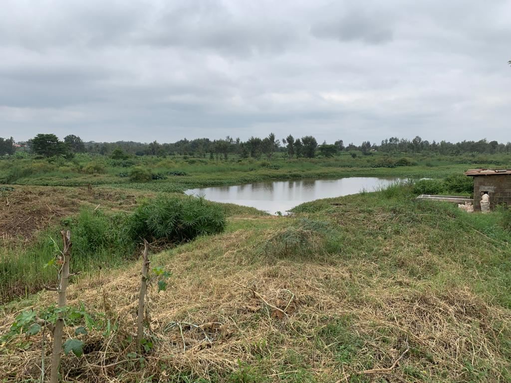 475 Acre Farm for Sale in Thika. Operational coffee and Hass avocado farm. The farm is yielding return in excess of KES 1.5 Million per acre per annum.