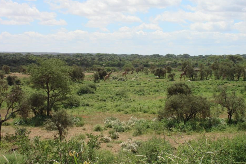 60 acres land for sale Kimana, Amboseli. FIT PROPERTY