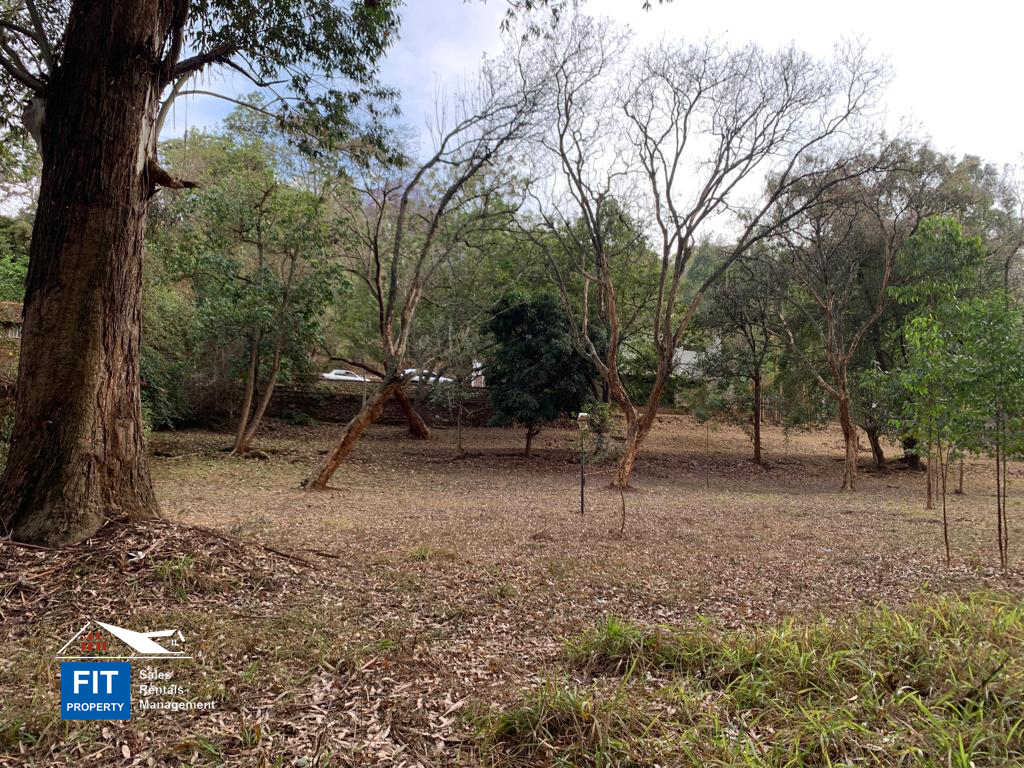 2.2 acres on Tchui Close, Old Muthaiga, Nairobi Plots that overlook Karura forest FIT PROPERTY