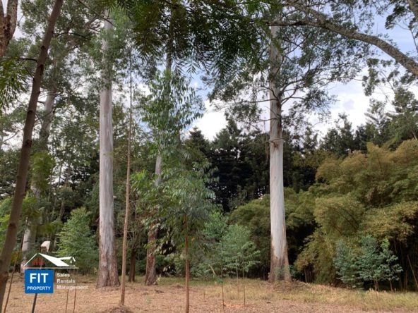 2.2 acres on Tchui Close, Old Muthaiga, Nairobi Plots that overlook Karura forest FIT PROPERTY