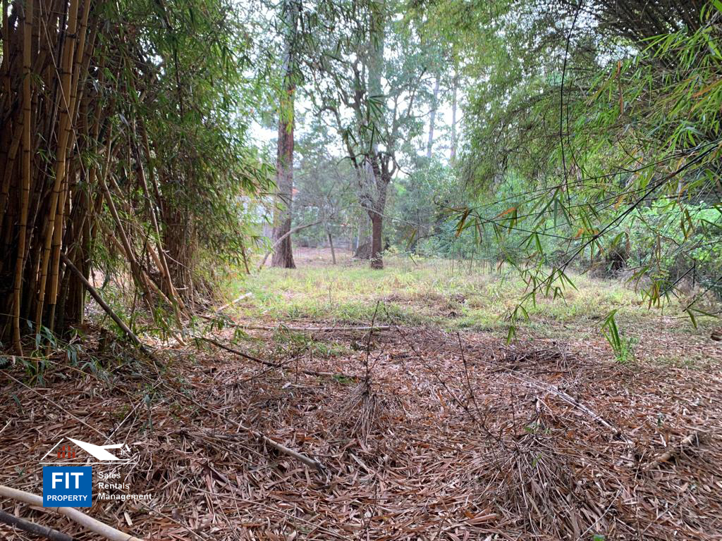 2.2 acres on Tchui Close, Old Muthaiga, Nairobi Plots that overlook Karura forest FIT PROPERTY