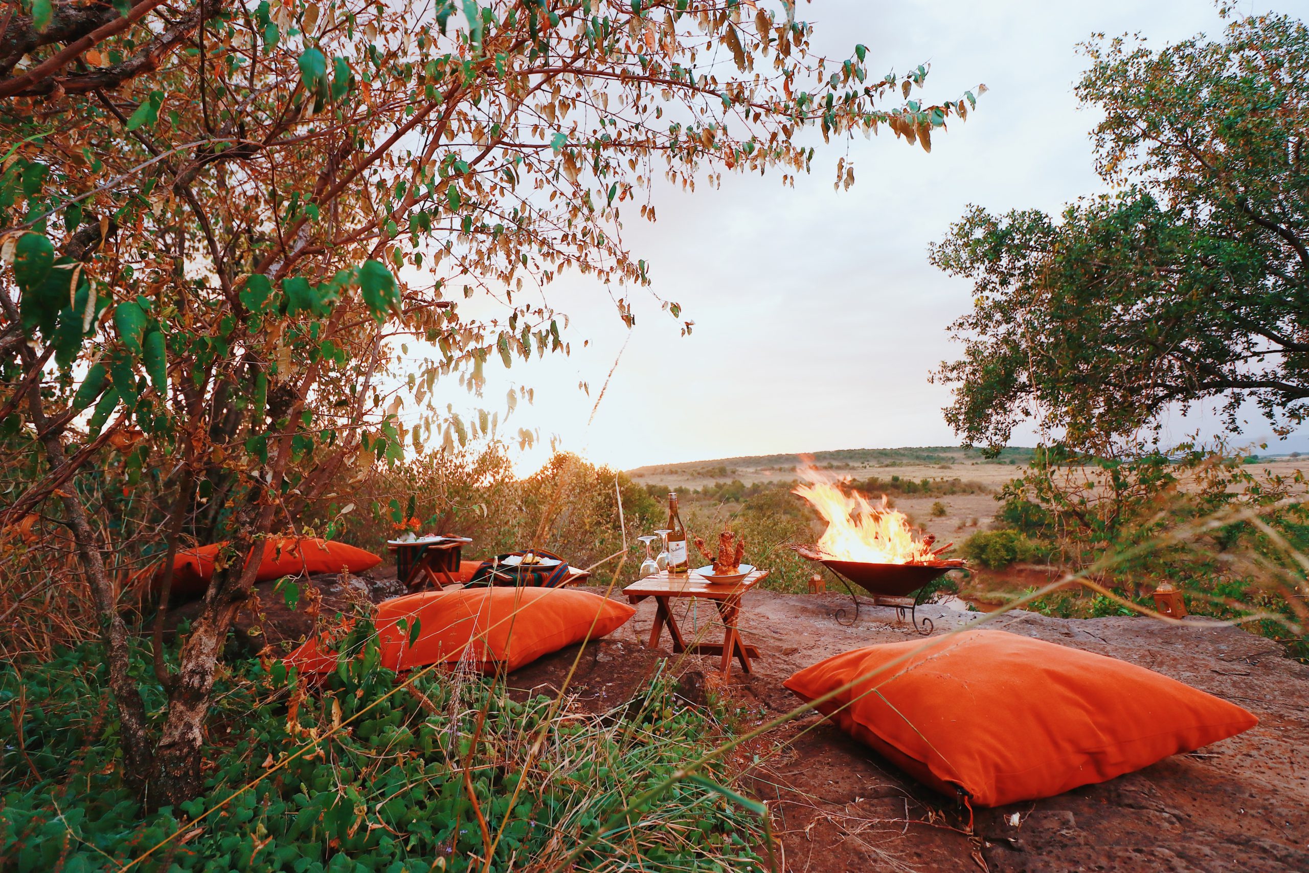 Within Maasai Mara game reserve, this prestigious safari camp, combined with a hot air balloon venture, presents a unique investment prospect.