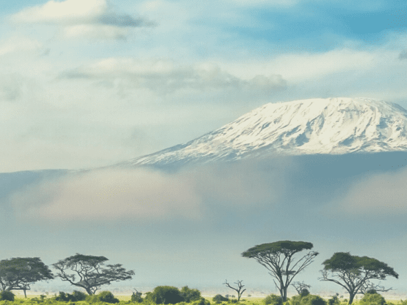 Navigating Hospitality Investments in Kenya: The Road to Iconic Success FIT PROPERTY